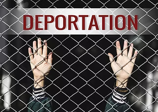 Deportation Defense