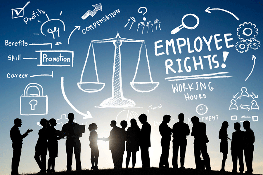 Employment Law Services